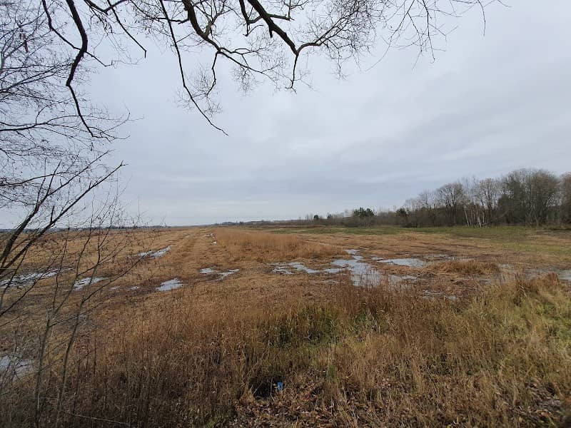 Naturreservat Björka lertag, söder om Kumla - Image 1