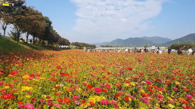 황룡강생태공원 - Image 1