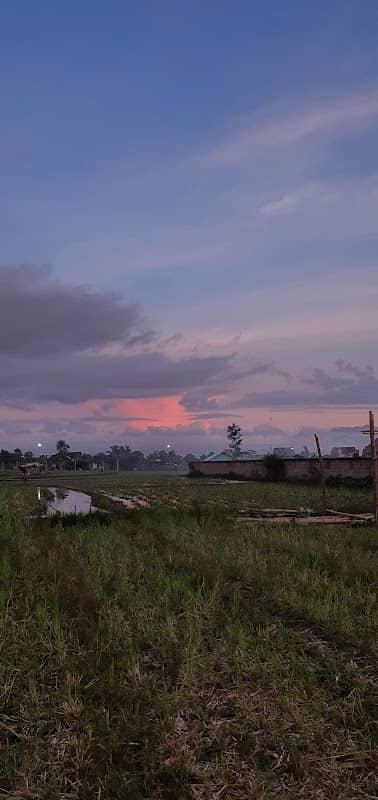 Balap merpati pendem - Image 2