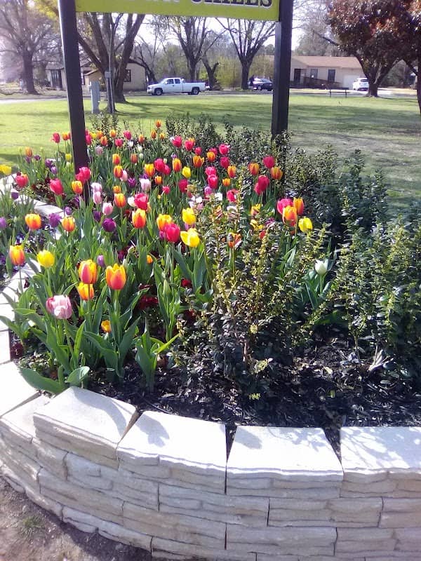 Brown Chiles Park - Image 2