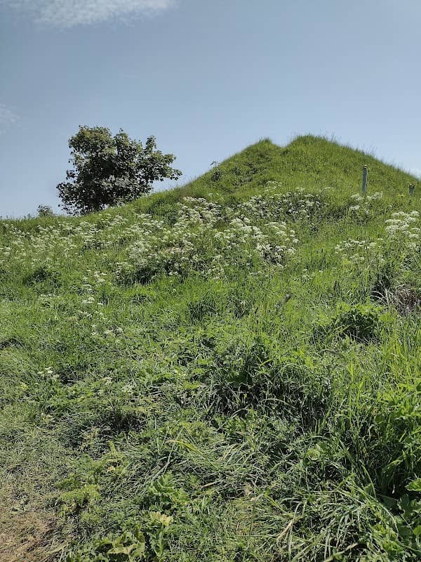 Thinker's Hill - Image 1