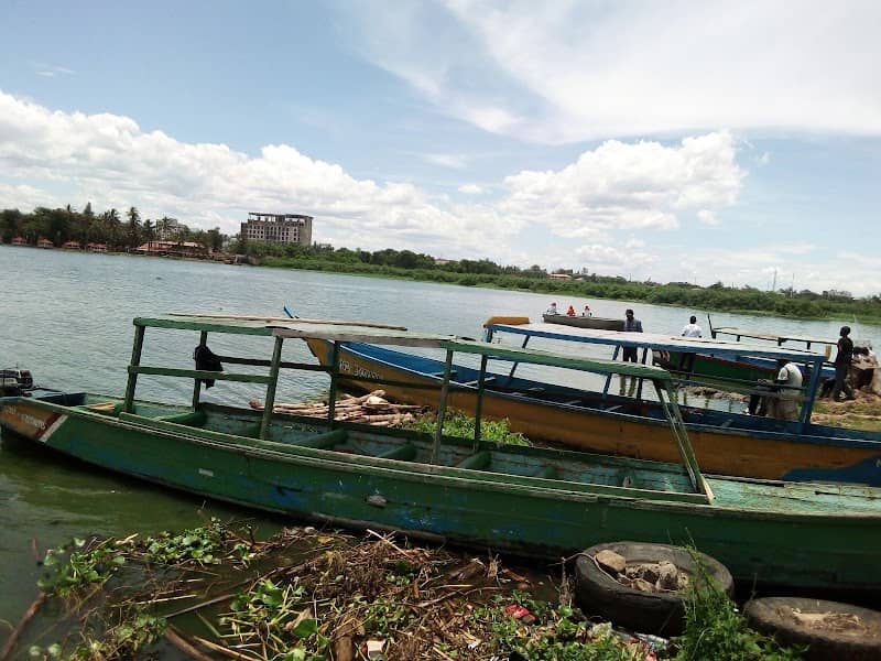Fish Fiesta - Image 1