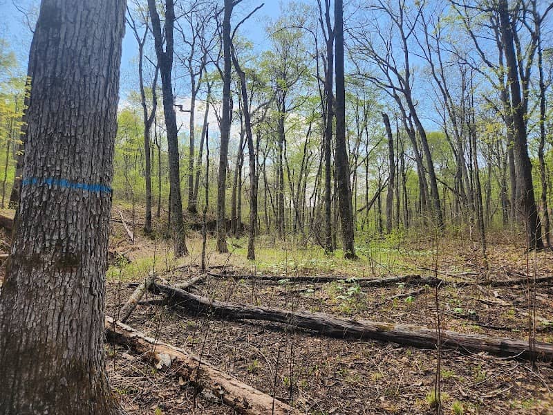 Daniel Boone Conservation Area - Image 2