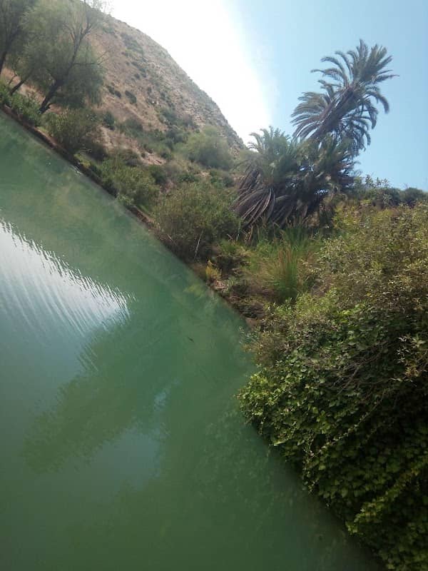 الشرشارة - Image 2