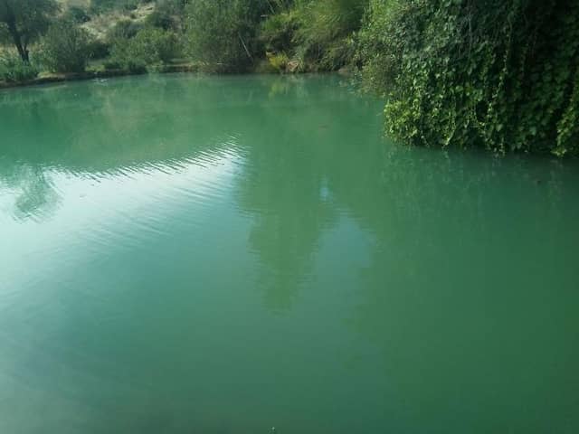 الشرشارة - Image 1