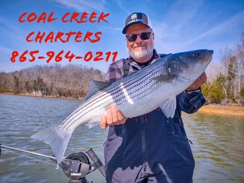 coal creek charters - Image 1