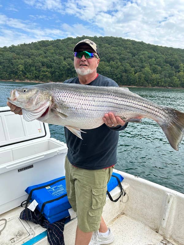 coal creek charters - Image 2