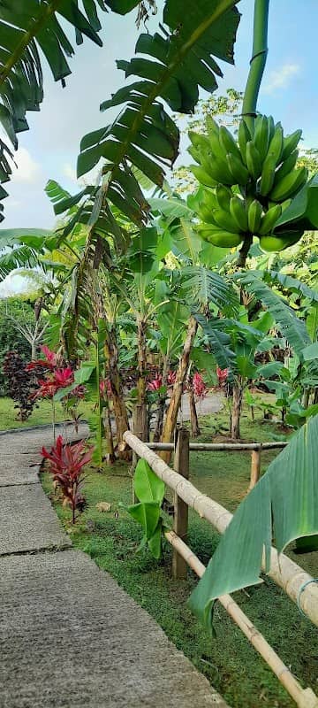 Les jardins de Gros Morne - Image 1