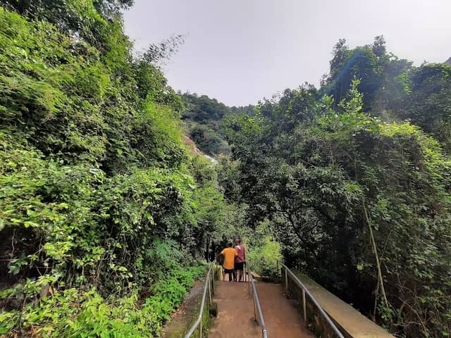 Aagaya Gangai Falls - Kollimalai - Image 3