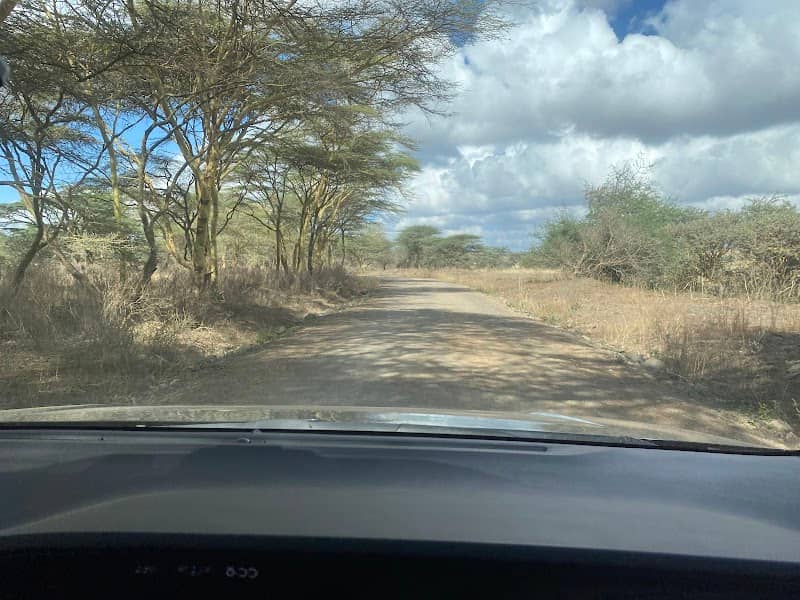 Marker 2 (Nairobi National Park) - Image 2