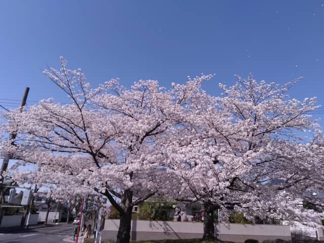 Teraike Park - Image 1