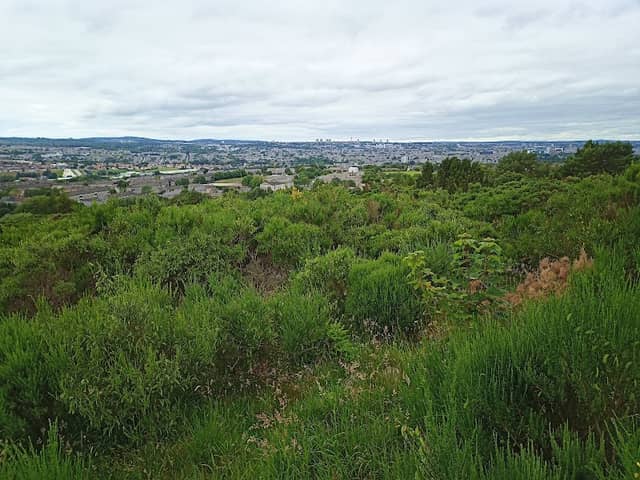 Kincorth Hill Local Nature Reserve - Image 2