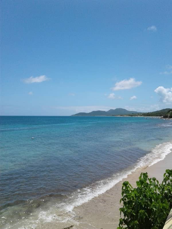 Fideicomiso de Conservación e Historia de Vieques - Image 2