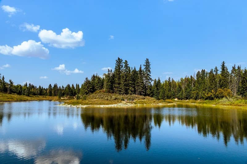 Waskasoo Park - Image 2