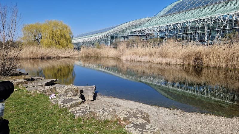Südlicher Kronsbergsee - Image 2