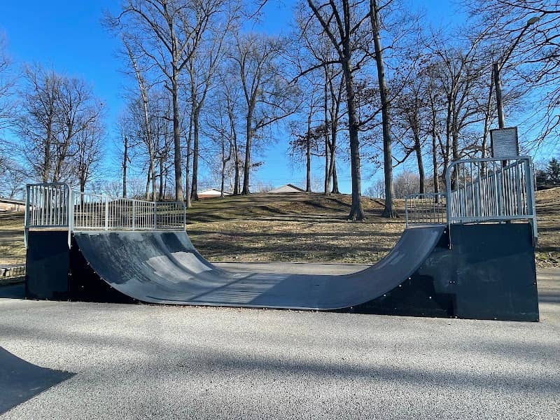 Atkinson skate park - Image 1