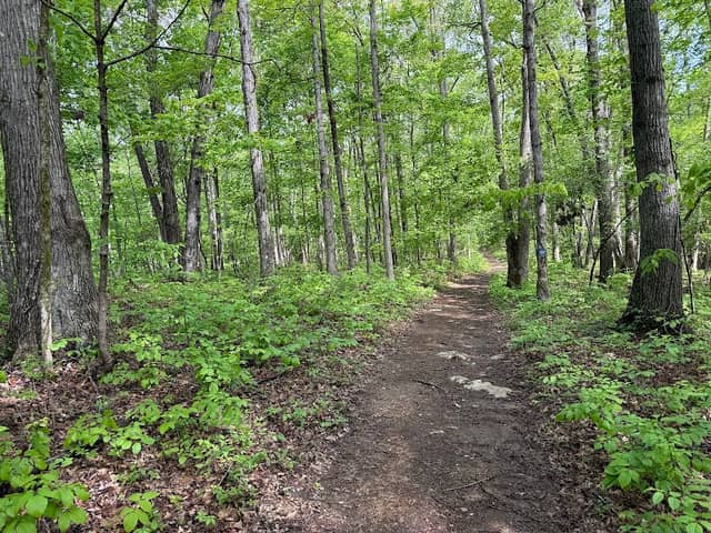 Tom Dorman State Nature Preserve - Image 2