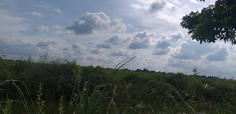 Sitaram's Garden - Image 1