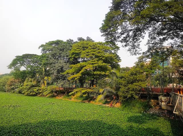Dhanmondi Zone 10/A - Image 2
