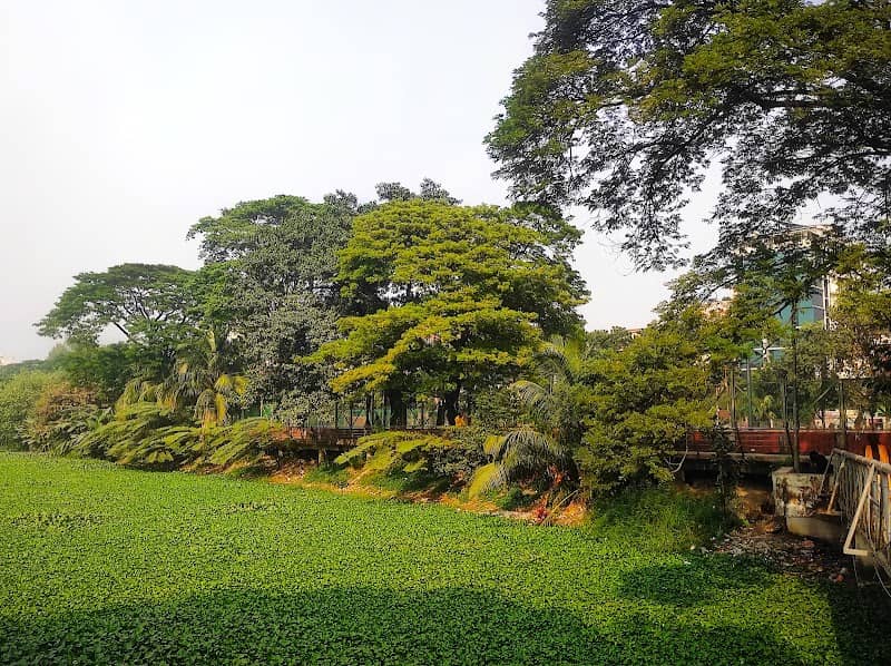 Dhanmondi Zone 10/A - Image 2