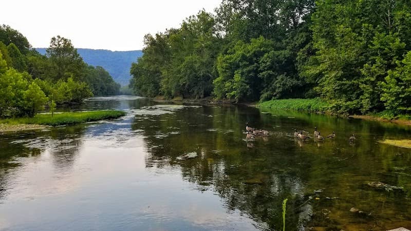 Seven Bends State Park - Image 2