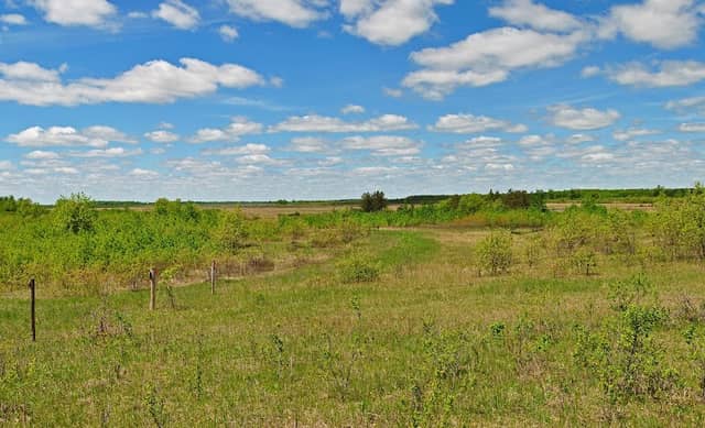 Reed Lake Meadow State Natural Area - Image 2