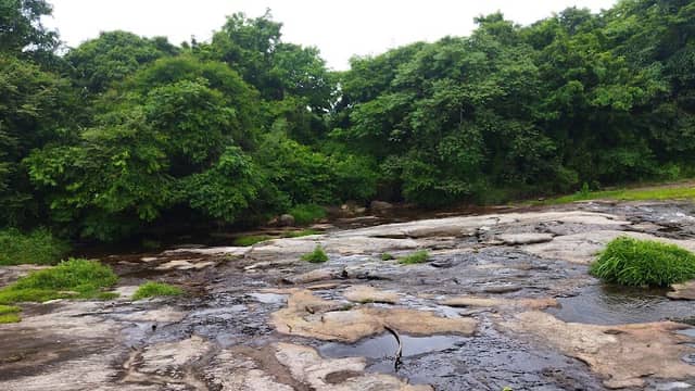 Pappadi water falls - Image 1