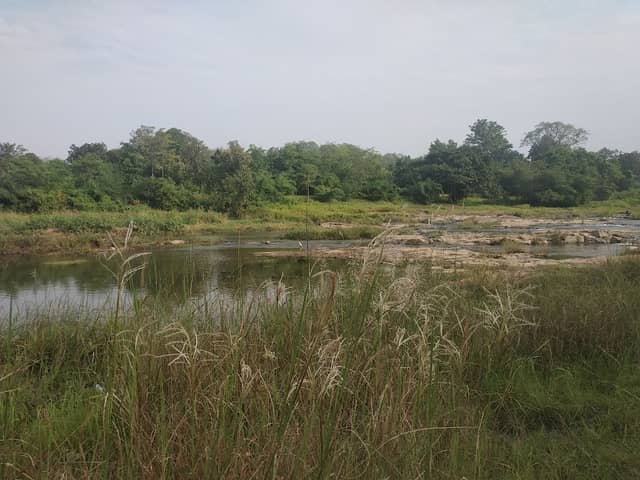 Van Jagruti Kendra - Image 1