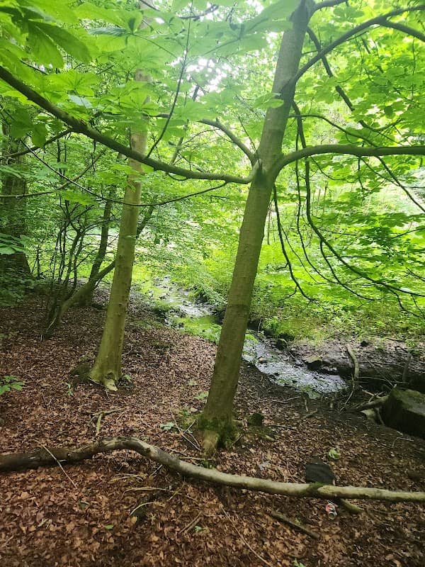 Captain's Clough - Image 2