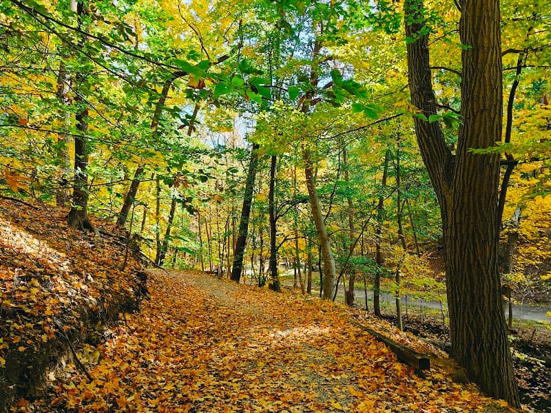 Garfield Park Reservation - Image 2
