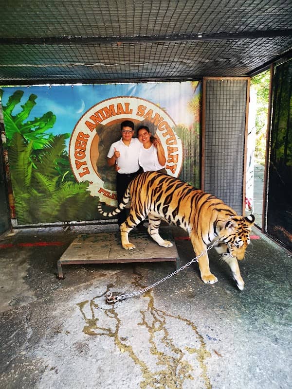 LYGER ANIMAL SANCTUARY (Tiger Holding Facility) - Image 1