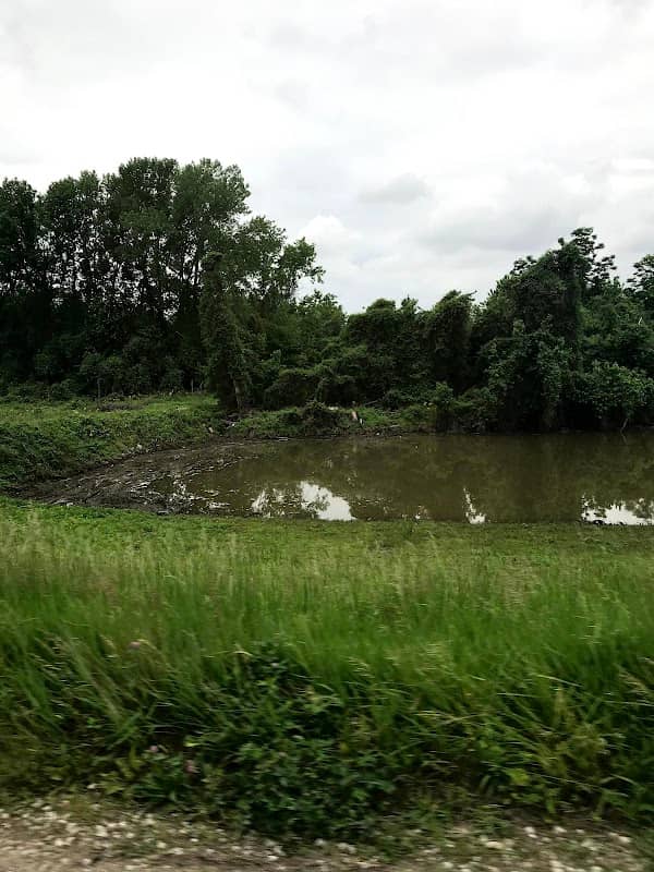 George Price Memorial Community Park - Image 1