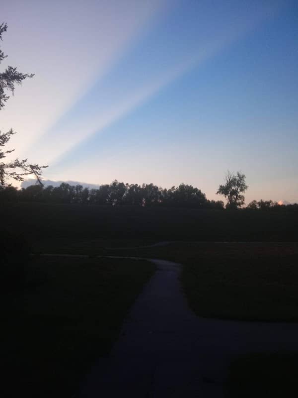George Price Memorial Community Park - Image 2