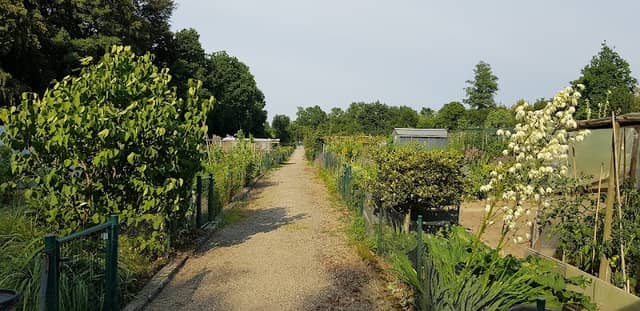 Tuindersverening "Jeugrubbenhof" - Image 2