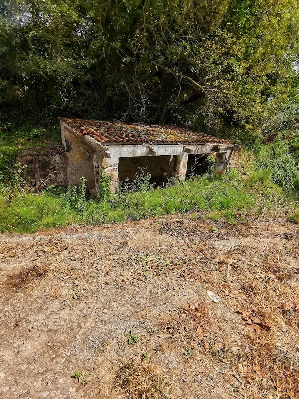 Lavadouro da Cela - Image 1