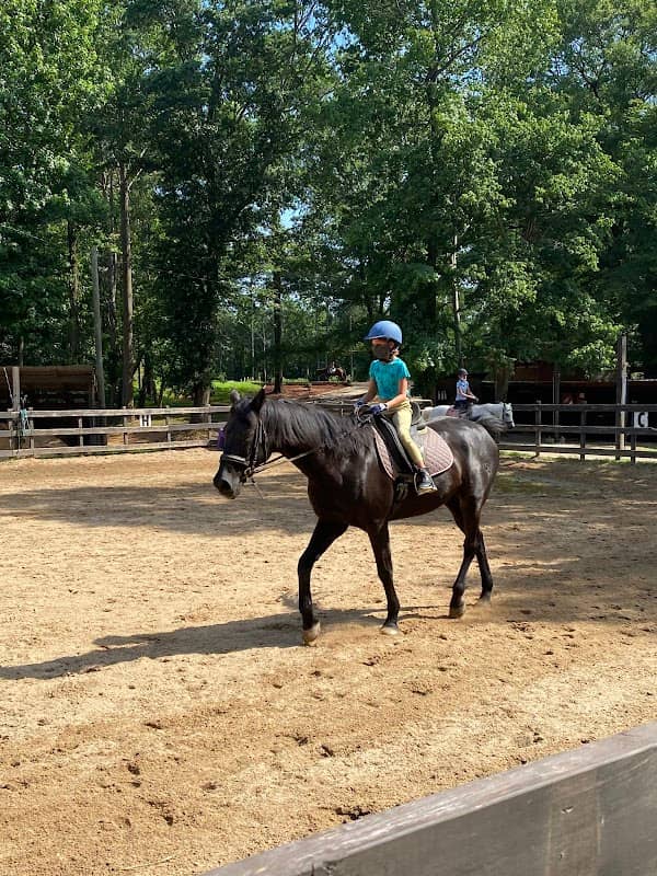 Ellenwood Equestrian Center - Image 1