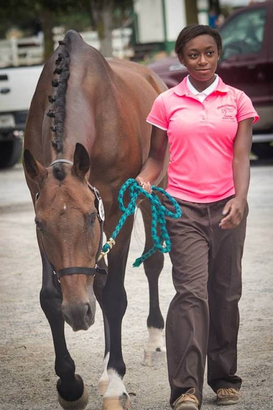 Ellenwood Equestrian Center - Image 3