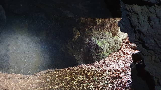 St. Martinshöhle - Image 2