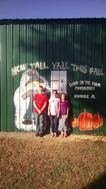 Down On the Farm - Image 1