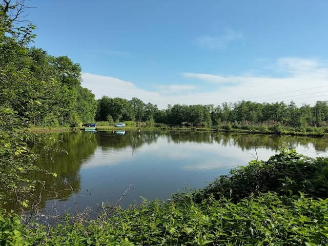 Park Zwierzyniec - Image 1