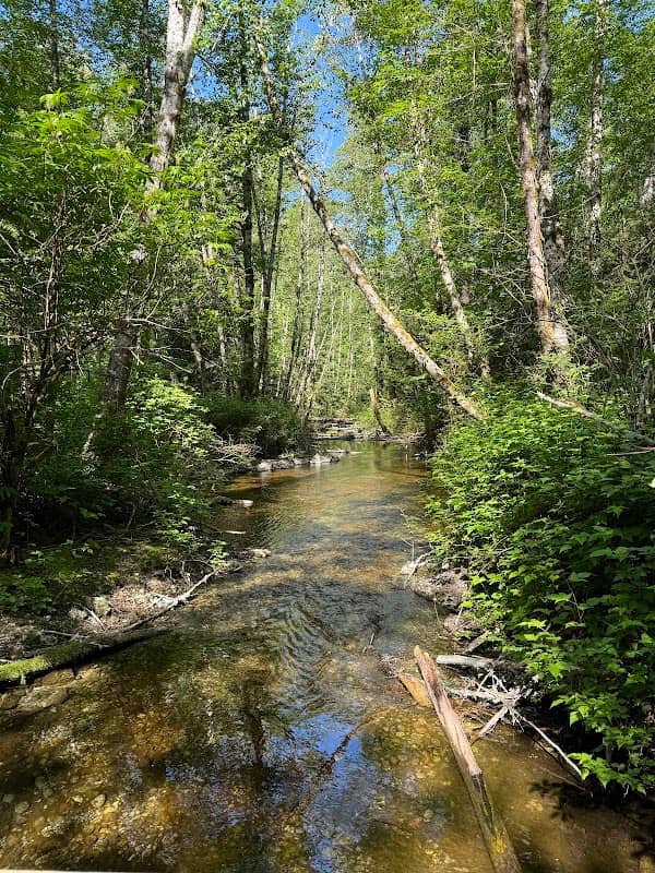Mamquam Spawning Channels - Image 1