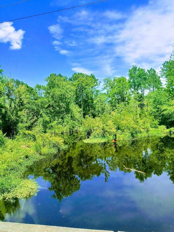 Pungo River Game Land - Image 2
