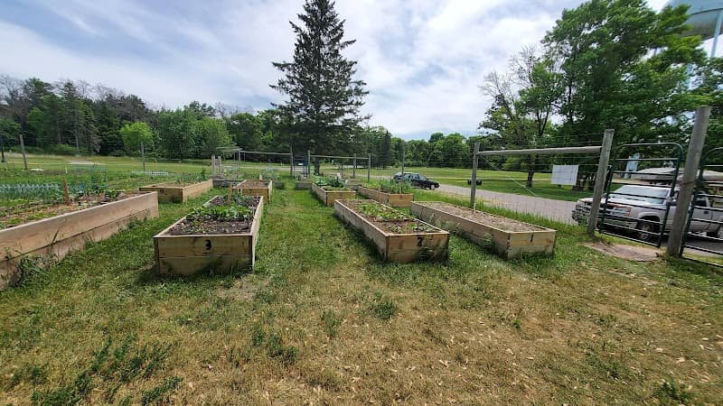 City Community Garden - Image 2
