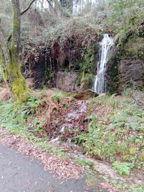 Cascata do Castanheiro - Image 1