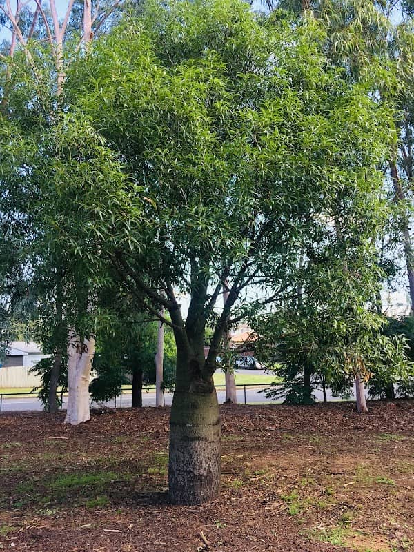 Harry Dennison Park - Image 2
