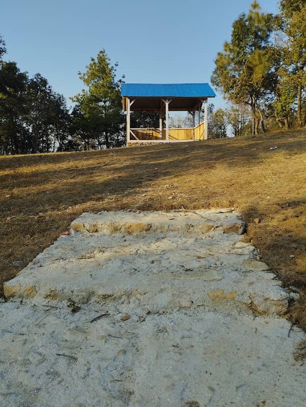Shade House - Image 1