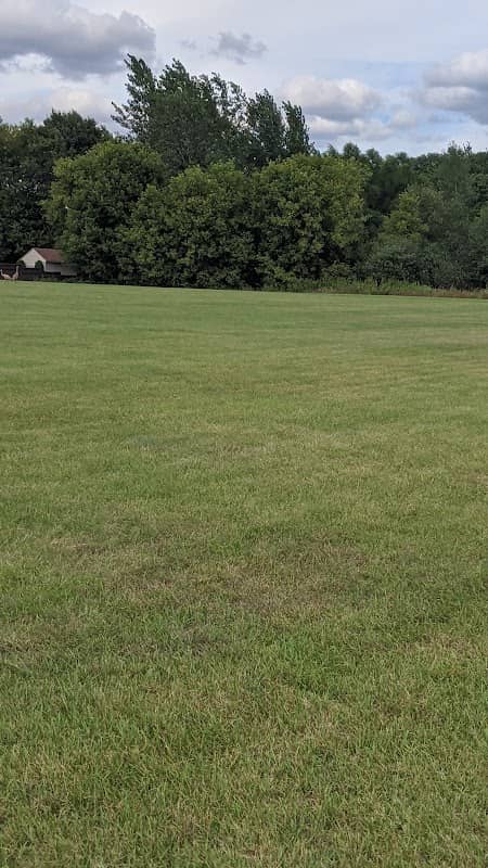 Pioneer Park - Image 1