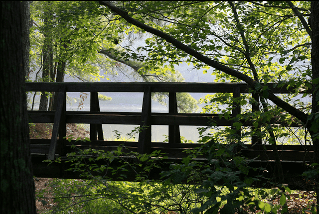 Bowie Nature Park - Image 2