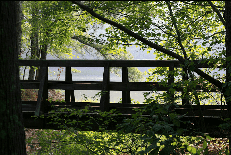 Bowie Nature Park - Image 2
