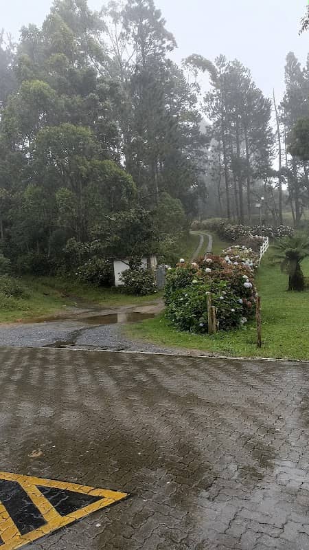 Placa da Divisa SP - RJ - Image 1